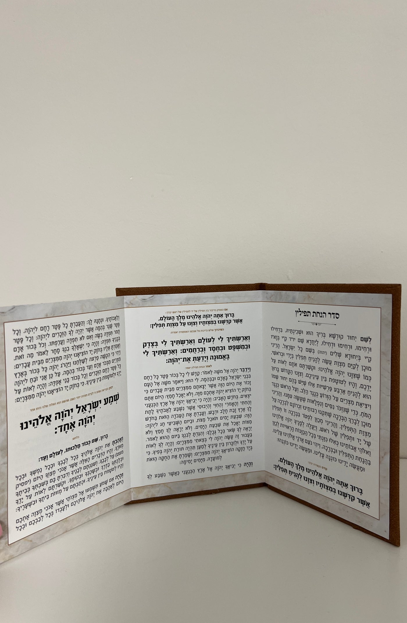 סדר הנחת תפילין צבע חום